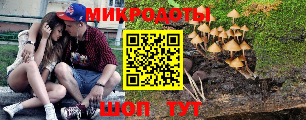 Галлюциногенные грибы GOLDEN TEACHER Ливны