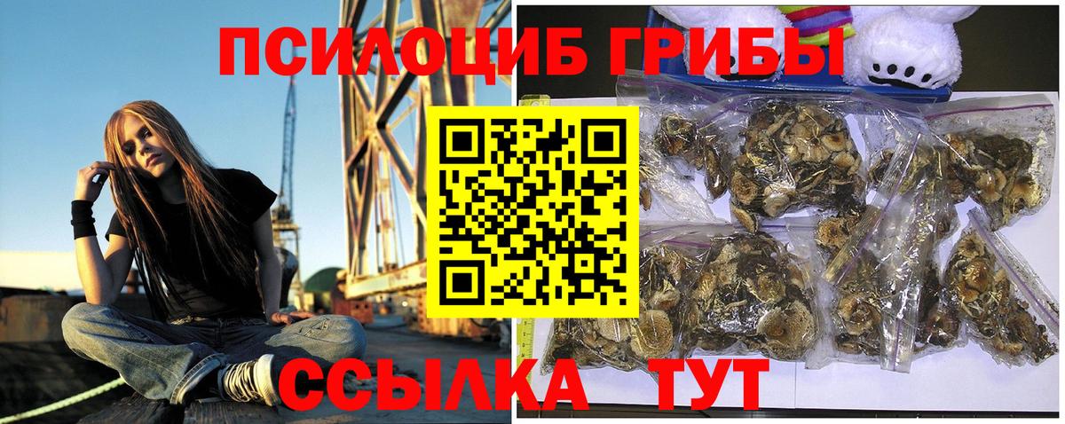 Галлюциногенные грибы MAGIC MUSHROOMS  где продают   Ливны  Псилоцибиновые грибы мухоморы  Вход с VPN 